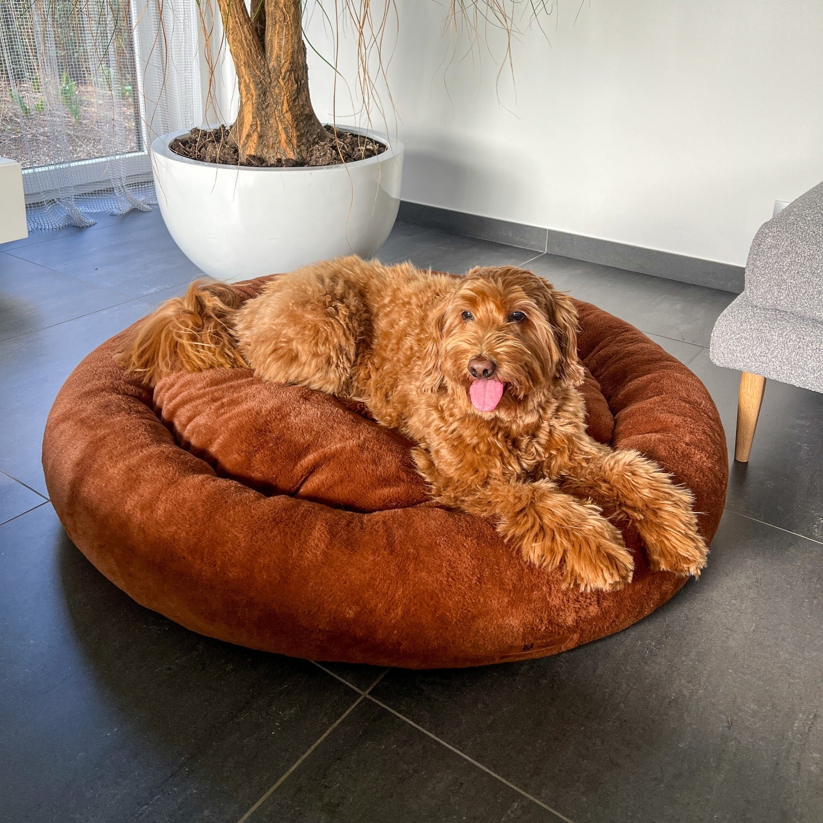 Pet Perfect - Orthopedisch Hondenmand - Largazo.nl