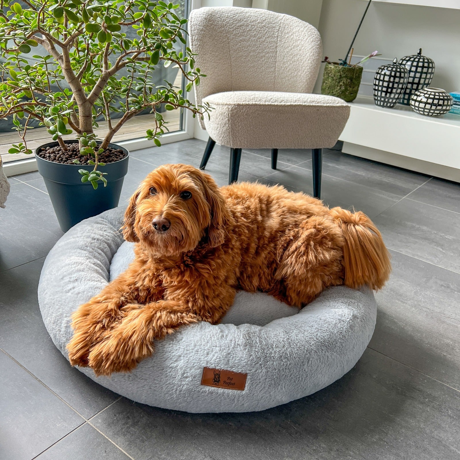 Pet Perfect - Orthopedisch Hondenmand - Largazo.nl