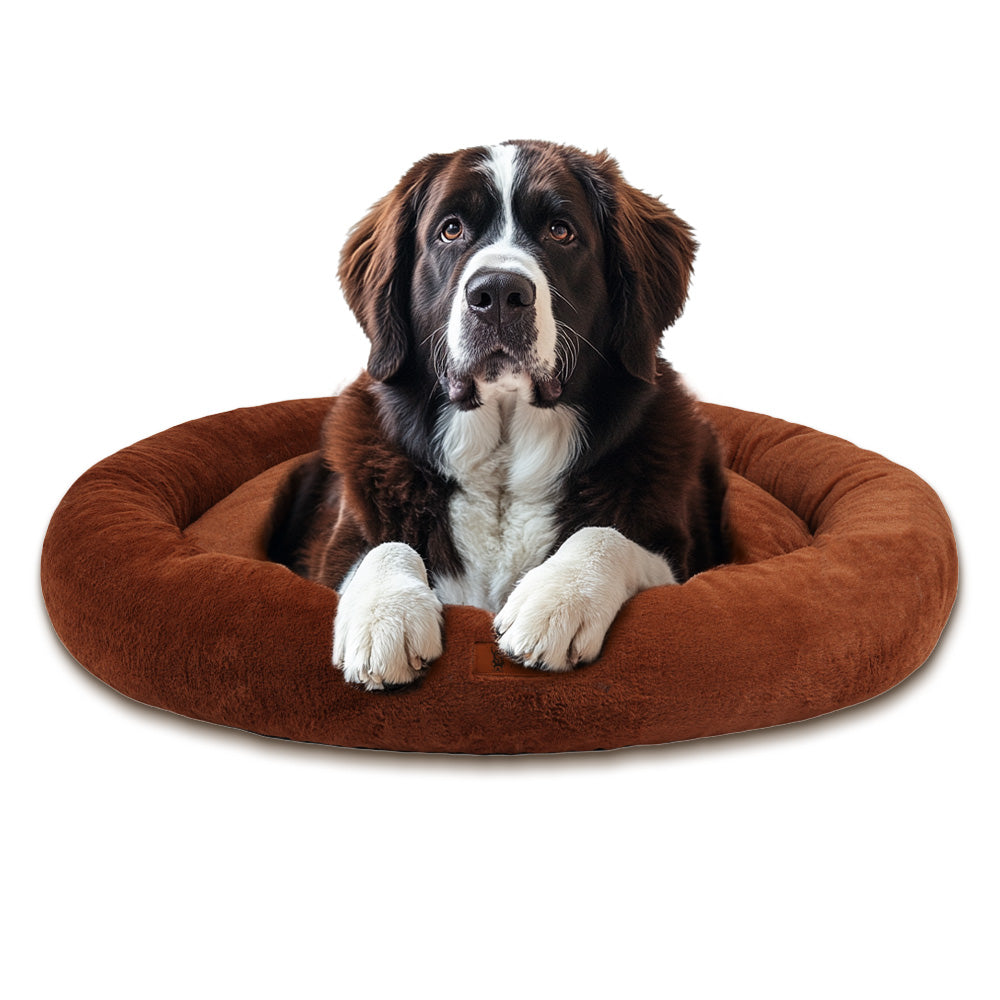 Pet Perfect - Orthopedisch Hondenmand - Largazo.nl