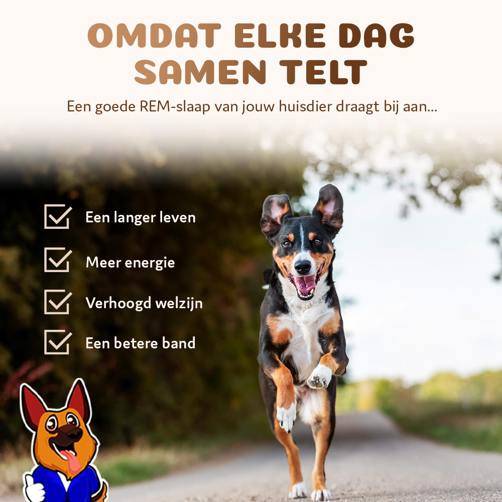 Pet Perfect - Orthopedisch Hondenmand - Largazo.nl